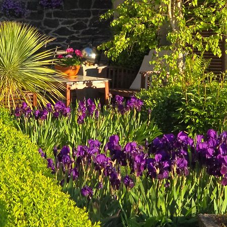 Villa Valerius Kottenheim エクステリア 写真