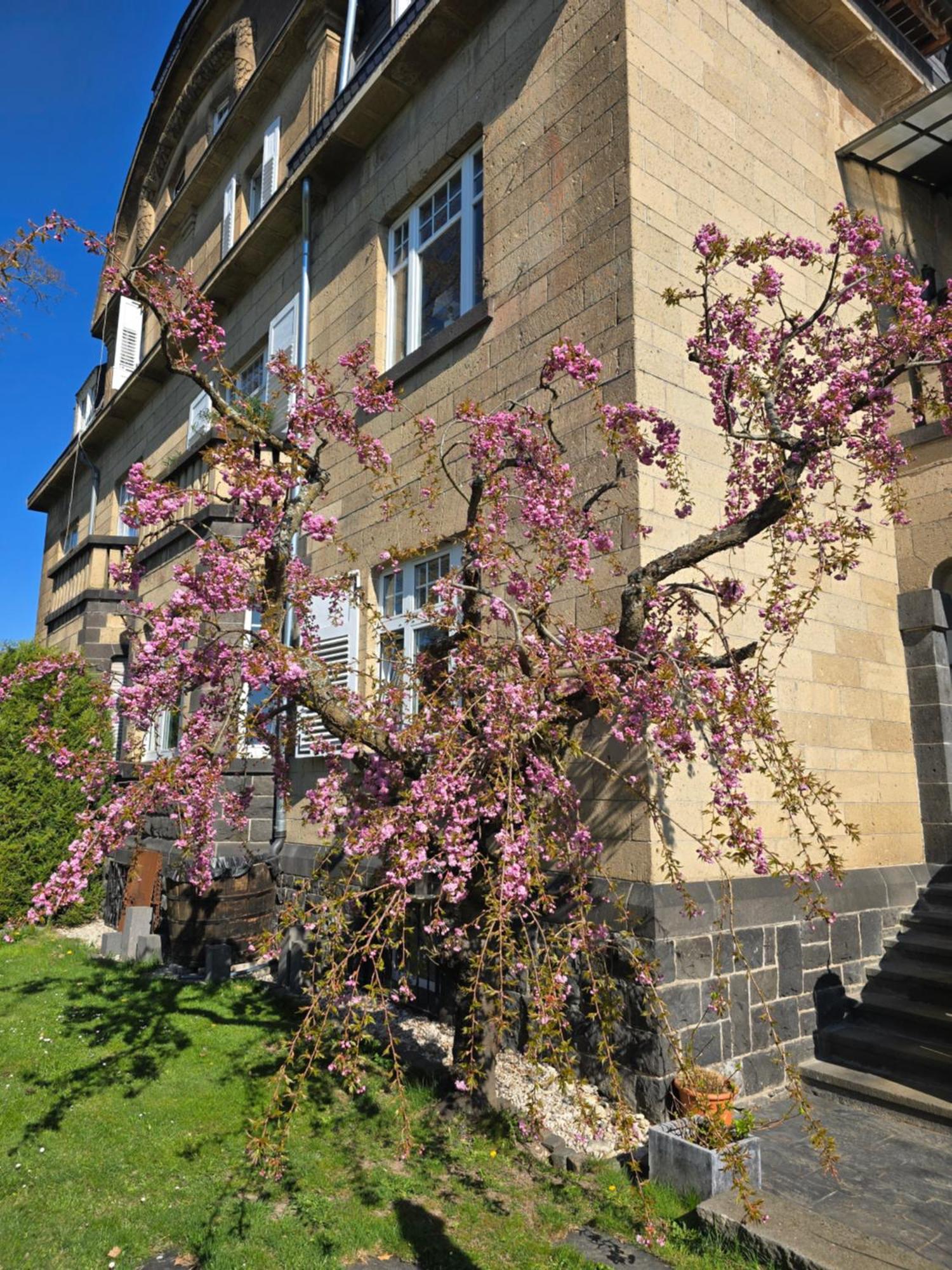 Villa Valerius Kottenheim エクステリア 写真